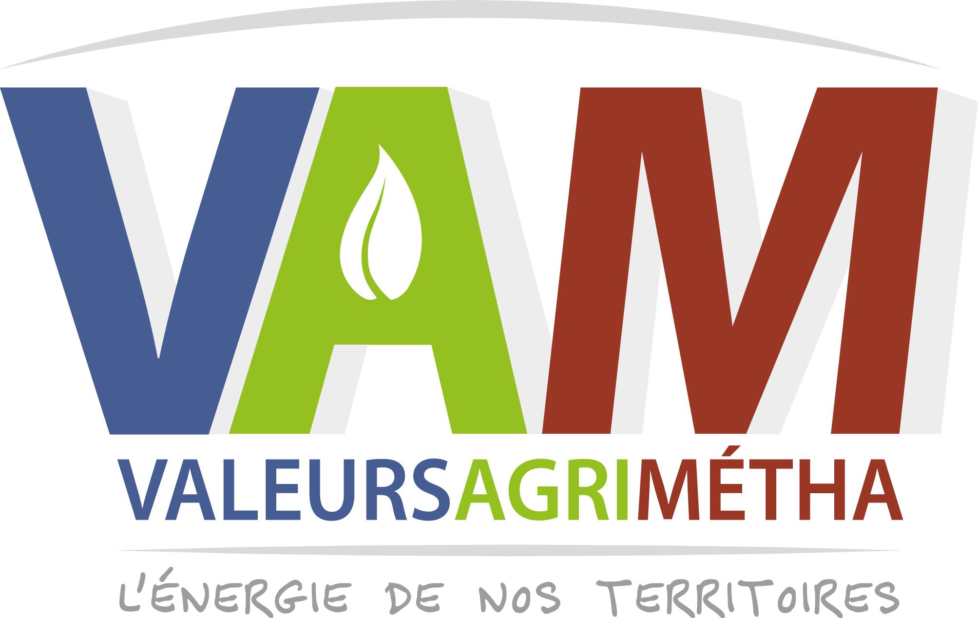 Logo VAM 2021