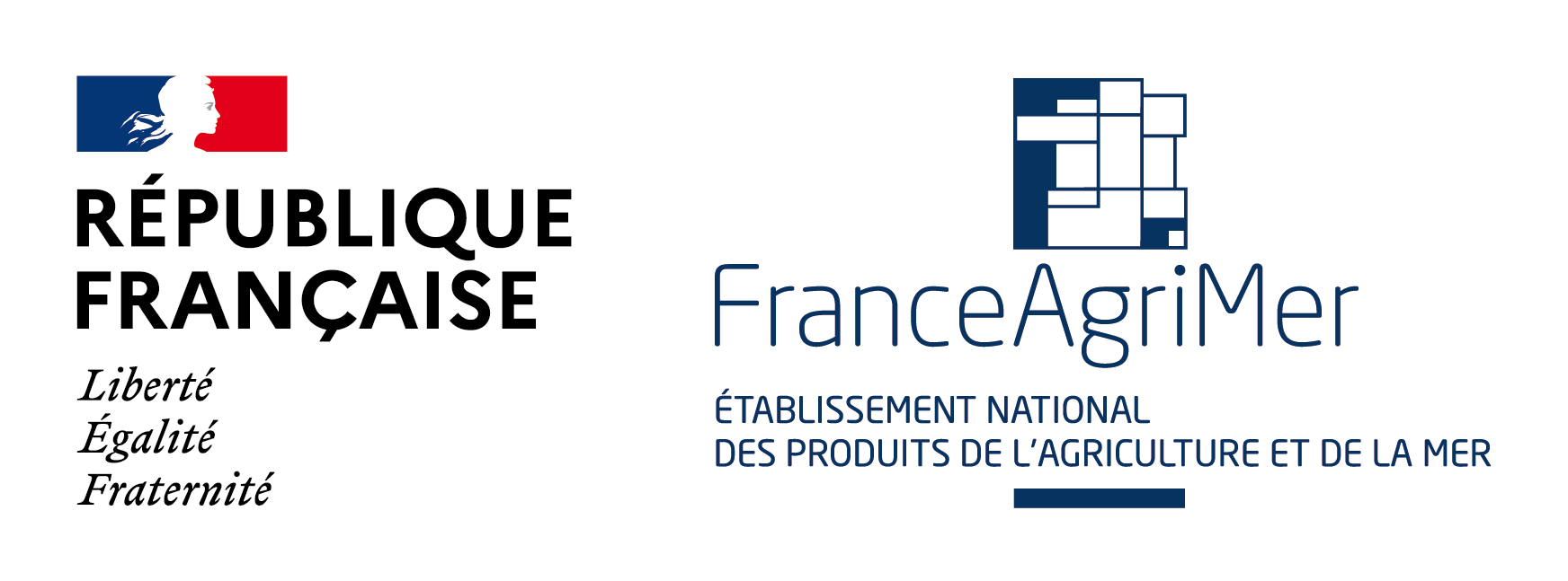 LOGO BM+ FAM FIL BLEU + INT